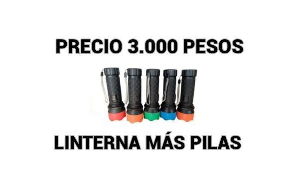 LINTERNA LED DE MANO (LARGO 15 CENTÍMETROS) MÁS 4 PILAS